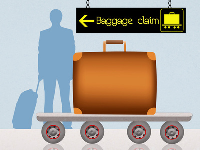 托運(yùn)的行李