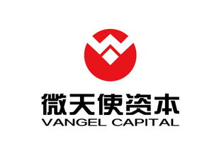 青島微天使商務(wù)信息咨詢管理企業(yè) 專(zhuān)業(yè)引領(lǐng)，助力企業(yè)騰飛